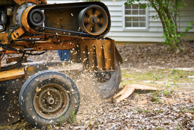 stump grinding erie ny